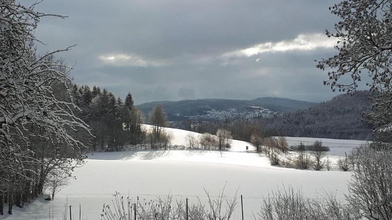 Ferienwohnung Mies Waldkirchen Kültér fotó